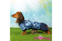 Obleček pro psy jezevčíků – lehoučká pláštěnka BLUE DENIM od ForMyDogs. (7)