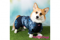 Obleček pro psy jezevčíků – lehoučká pláštěnka BLUE DENIM od ForMyDogs. (8)