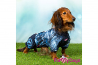 Obleček pro psy jezevčíků – lehoučká pláštěnka BLUE DENIM od ForMyDogs. (9)