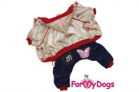 Obleček pro psy i fenky – overal GOLD od ForMyDogs s kalhotami z „jeansoviny“ a třpytivou aplikací na zádech.
