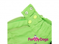  Obleček pro psy jezevčíků – lehoučká pláštěnka GREEN NEON od ForMyDogs. Zapínání na zip na zádech, zvýšený límec, reflexní prvky. (7)