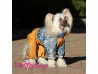   Obleček pro psy – sinteponem zateplený zimní overal TERRACOTA BLUE od ForMyDogs. Vylepšené zapínání na zádech, odnímatelná kapuce, hedvábná podšívka. FOTO 6