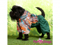   Obleček pro psy malých až středních plemen – lehoučká pláštěnka GREEN od For My Dogs. Zapínání na zip na zádech, hladká podšívka, odepínací kapuce (FOTO 2)