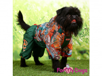   Obleček pro psy malých až středních plemen – lehoučká pláštěnka GREEN od For My Dogs. Zapínání na zip na zádech, hladká podšívka, odepínací kapuce (FOTO 4)