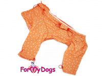 Obleček pro fenky větších plemen – lehoučký elegantní overal DUSTER ORANGE od ForMyDogs. Vhodný i do suchého chladnějšího počasí nebo pro domácí nošení. (4)