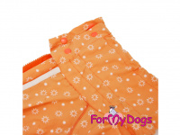 Obleček pro fenky větších plemen – lehoučký elegantní overal DUSTER ORANGE od ForMyDogs. Vhodný i do suchého chladnějšího počasí nebo pro domácí nošení. (2)