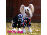  Zimní obleček pro psy od FMD – overal WHAT IS ON YOUR MIND