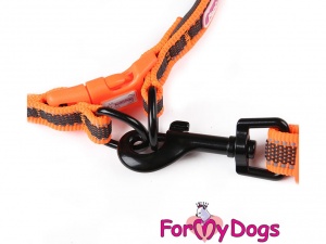 Obojky pro psy – oranžový obojek z kolekce ForMyDogs RETROREFLECTIVE ORANGE (3)