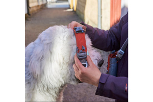 Robustní polostahovací obojek pro psy Hurtta Rover s inovativní přezkou Duraflex nabízí bleskové nasazení přes hlavu a extrémní odolnost pro střední a velké psy (7)