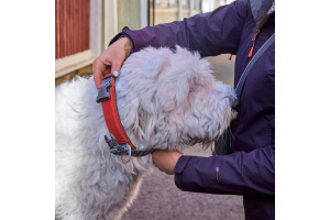 Robustní polostahovací obojek pro psy Hurtta Rover s inovativní přezkou Duraflex nabízí bleskové nasazení přes hlavu a extrémní odolnost pro střední a velké psy (8)