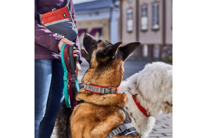 Robustní polostahovací obojek pro psy Hurtta Rover s inovativní přezkou Duraflex nabízí bleskové nasazení přes hlavu a extrémní odolnost pro střední a velké psy (9)