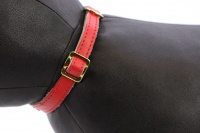 Luxusní kožený obojek pro kočky BOBBY – červený se zlatými hvězdami. Klasické zapínání s bezpečnostní gumou, univerzální velikost (4).