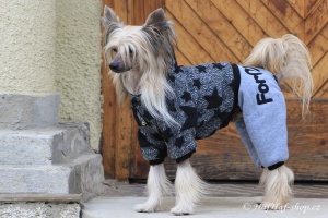 FOTO – Obleček pro psy i fenky – šedý overal s hvězdami (3)