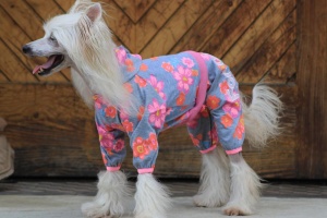 FOTO – Obleček pro psy i fenky – overal DAISIES s květinovým vzorem (5)
