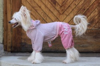 FOTO – Obleček pro psy i fenky – lehoučký pletený overal z veluru (2)