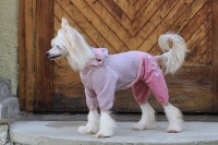 FOTO – Obleček pro psy i fenky – lehoučký pletený overal z veluru 