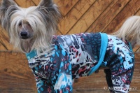 FOTO – Obleček pro psy i fenky – lehký overal LEO BLUE (2)