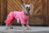 FOTO – Obleček pro psy i fenky – růžový jednovrstvý overal FMD (4)