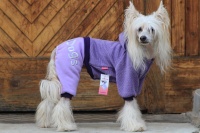 FOTO – Obleček pro psy i fenky – fialový jednovrstvý overal (5)