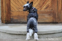FOTO – Černý overal pro psy i fenky z měkoučkého flísu (4)