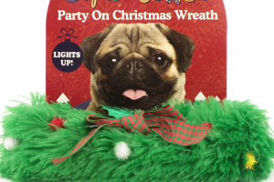 Stylový sváteční doplněk všech psích gentlemanů – zelený párty obojek. Zapínání na suchý zip, pro psy s obvodem krku do 30 cm. (2)