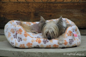 FOTO – Plyšový pelíšek pro psy od For My Dogs. Měkoučké bočnice, nadýchaný vyjímatelný polštář, celý pelíšek je vyrobený z plyšového flísu. Barva béžová (4).