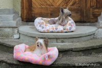 FOTO – Plyšový pelíšek pro psy od For My Dogs. Měkoučké bočnice, nadýchaný vyjímatelný polštář, celý pelíšek je vyrobený z plyšového flísu. Barva růžová (4).