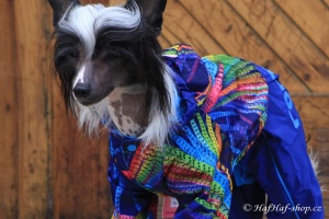 FOTO – Oblečky pro psy – lehoučká pláštěnka pro psy malých plemen, modrá s barevným potiskem (2)