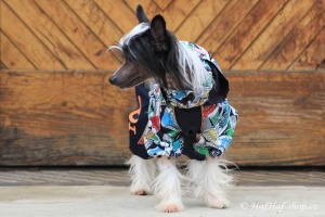 FOTO – Obleček pro psy – pláštěnka FMD, nový super komfortní a funkční model SNEAKERS