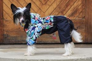 FOTO – Obleček pro psy – pláštěnka FMD, nový super komfortní a funkční model SNEAKERS (4)