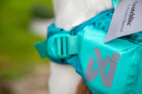  Plovací vesta pro psy Non-stop Dogwear je kvalitní a funkční plovací vesta, která nastavuje nový standard plovacích pomůcek pro psy (13)