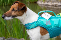  Plovací vesta pro psy Non-stop Dogwear je kvalitní a funkční plovací vesta, která nastavuje nový standard plovacích pomůcek pro psy (14)