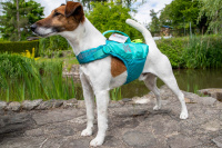  Plovací vesta pro psy Non-stop Dogwear je kvalitní a funkční plovací vesta, která nastavuje nový standard plovacích pomůcek pro psy (17)