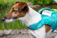  Plovací vesta pro psy Non-stop Dogwear je kvalitní a funkční plovací vesta, která nastavuje nový standard plovacích pomůcek pro psy (18)