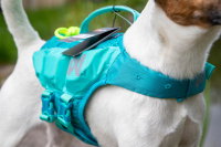  Plovací vesta pro psy Non-stop Dogwear je kvalitní a funkční plovací vesta, která nastavuje nový standard plovacích pomůcek pro psy (8)