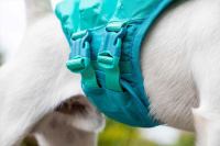  Plovací vesta pro psy Non-stop Dogwear je kvalitní a funkční plovací vesta, která nastavuje nový standard plovacích pomůcek pro psy (9)