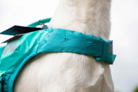  Plovací vesta pro psy Non-stop Dogwear je kvalitní a funkční plovací vesta, která nastavuje nový standard plovacích pomůcek pro psy (10)