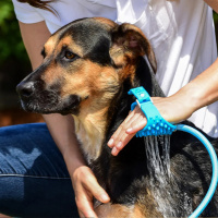  Aquapaw Bathing Tool je unikátní pomůcka na koupání domácích mazlíčků, kterou lze zapnout a vypnout pouhým pohybem zápěstí. Během celého koupání máte úplnou kontrolu nad svým mazlíčkem i nad proudem vody. (7)