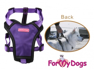 Postroje pro psy – hrudní postroj „PURPLE“ od ForMyDogs, fialový (2)