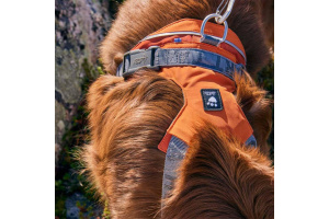 Konečně postroj, který neomezuje v pohybu ani ty nejsilnější psy! Postroj Hurtta Rover s unikátním nastavitelným hrudním polstrováním dopřeje vašemu parťákovi přirozený pohyb bez odírání a vám stoprocentní kontrolu (3)