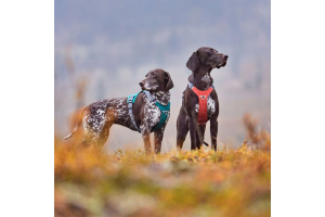 Konečně postroj, který neomezuje v pohybu ani ty nejsilnější psy! Postroj Hurtta Rover s unikátním nastavitelným hrudním polstrováním dopřeje vašemu parťákovi přirozený pohyb bez odírání a vám stoprocentní kontrolu (5)