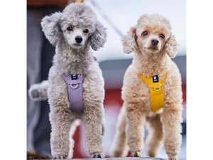  Postroj HURTTA SEEKER – ten nejlepší první postroj pro vaše štěně i dospělé malé průzkumníky! Lehký, měkký a plně nastavitelný postroj z recyklovaných materiálů dopřeje malým psům naprostou svobodu pohybu (2)