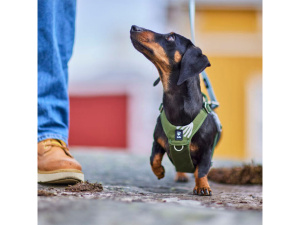  Postroj HURTTA SEEKER – ten nejlepší první postroj pro vaše štěně i dospělé malé průzkumníky! Lehký, měkký a plně nastavitelný postroj z recyklovaných materiálů dopřeje malým psům naprostou svobodu pohybu (2)
