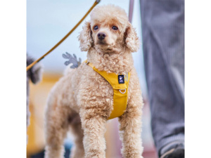  Postroj HURTTA SEEKER – ten nejlepší první postroj pro vaše štěně i dospělé malé průzkumníky! Lehký, měkký a plně nastavitelný postroj z recyklovaných materiálů dopřeje malým psům naprostou svobodu pohybu (3)