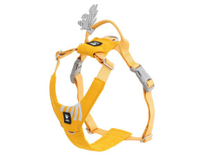  Postroj HURTTA SEEKER – ten nejlepší první postroj pro vaše štěně i dospělé malé průzkumníky! Lehký, měkký a plně nastavitelný postroj z recyklovaných materiálů dopřeje malým psům naprostou svobodu pohybu