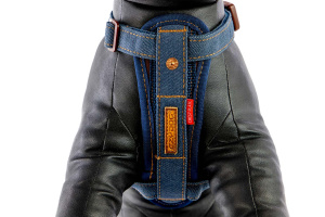  Hrudní postroj EZYDOG CHEST PLATE DENIM v jeansovém designu je navržený tak, aby maximálně respektoval anatomii psa a poskytoval mu komfort i při aktivním pohybu (detail hrudní části)