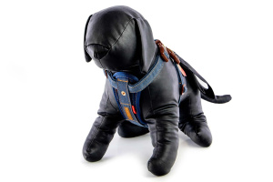  Hrudní postroj EZYDOG CHEST PLATE DENIM v jeansovém designu je navržený tak, aby maximálně respektoval anatomii psa a poskytoval mu komfort i při aktivním pohybu (pohled z předu)