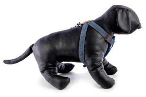  Hrudní postroj EZYDOG CHEST PLATE DENIM v jeansovém designu je navržený tak, aby maximálně respektoval anatomii psa a poskytoval mu komfort i při aktivním pohybu (pohled z boku 2)