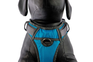  Polstrovaný postroj pro psy Red Dingo v krásné tyrkysové barvě je skvělý parťák na každodenní venčení ve městě i v přírodě, ale neztratí se ani při sportovních aktivitách (11)