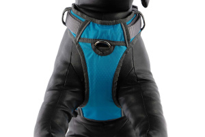  Polstrovaný postroj pro psy Red Dingo v krásné tyrkysové barvě je skvělý parťák na každodenní venčení ve městě i v přírodě, ale neztratí se ani při sportovních aktivitách (12)